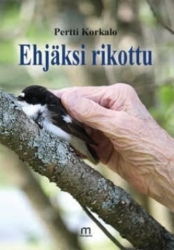 Ehjäksi rikottu