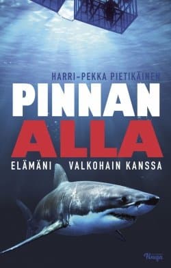 Pinnan alla