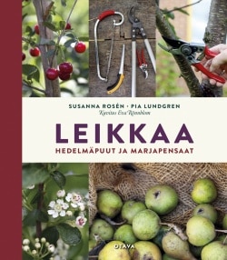 Leikkaa hedelmäpuut ja marjapensaat