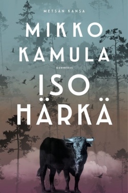 Iso härkä