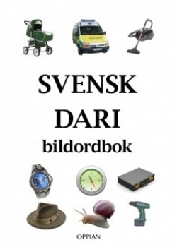 Svensk-dari bildordbok