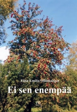 Ei sen enempää