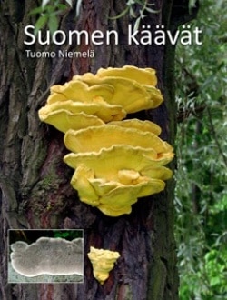 Suomen käävät