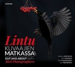 Lintukuvaajien matkassa vol. 2