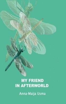 My friend in Afterworld : experiences in the other reality