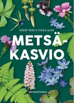 Metsäkasvio