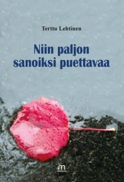 Niin paljon sanoiksi puettavaa