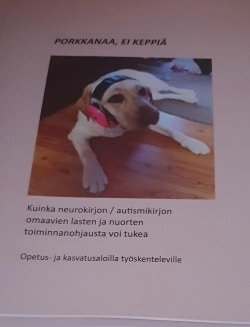 Porkkanaa ei keppiä : kuinka neurokirjon / autismikirjon omaavien lasten ja nuorten toiminnanohjausta voi tukea : opetus- ja kas