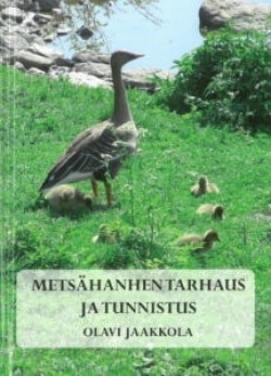 Metsähanhen tarhaus ja tunnistus