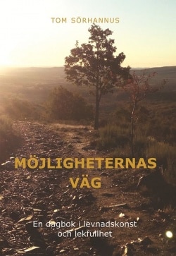 Möjligheternas väg : en dagbok i levnadskonst och lekfullhet