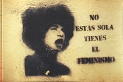 Madridin katujen kasvot : laiton graffiti osana Espanjan 15M-protesteja