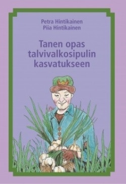 Tanen opas talvivalkosipulin kasvatukseen