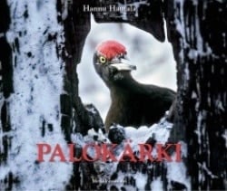 Palokärki