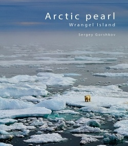 Arctic pearl : Wrangel Island