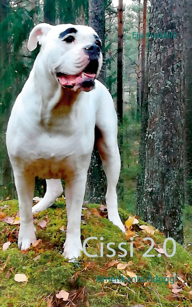Cissi 2.0 - Amerikanbulldoggi