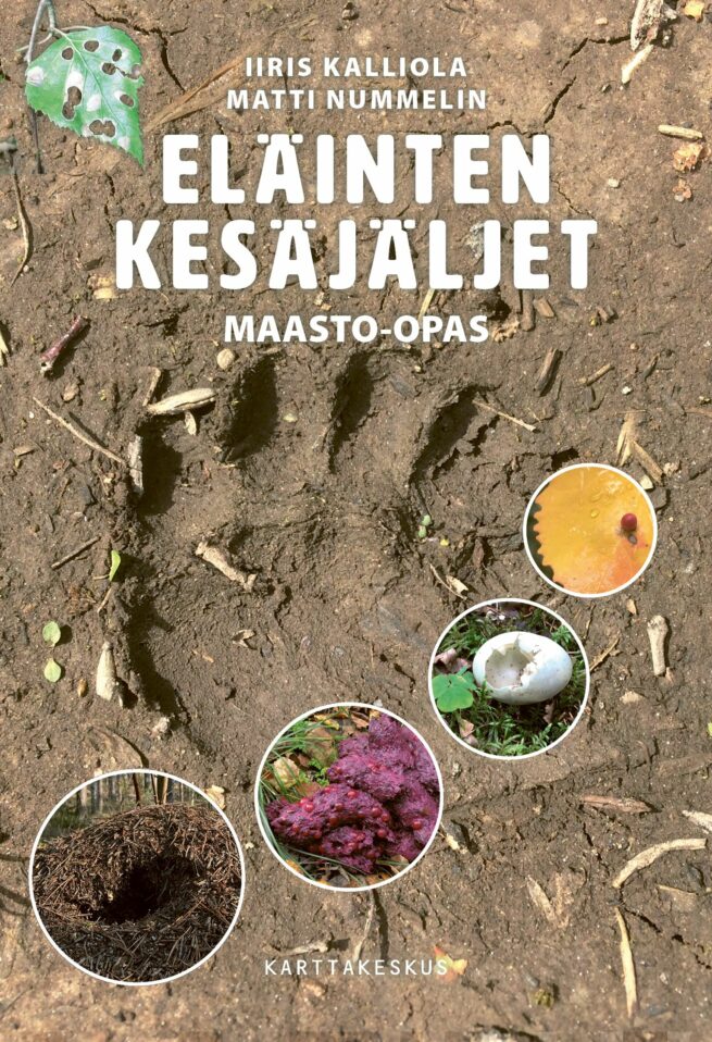 Eläinten kesäjäljet : maasto-opas