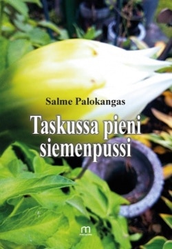 Taskussa pieni siemenpussi