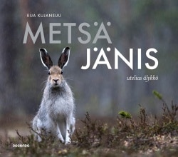 Metsäjänis : utelias älykkö