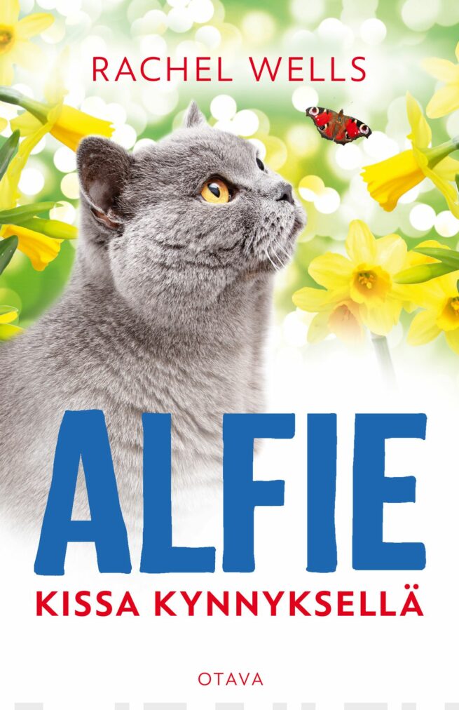 Alfie - kissa kynnyksellä