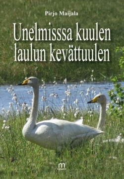 Unelmissa kuulen laulun kevättuulen