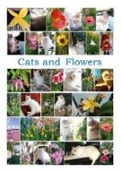 Cats and flowers : 35 children song games