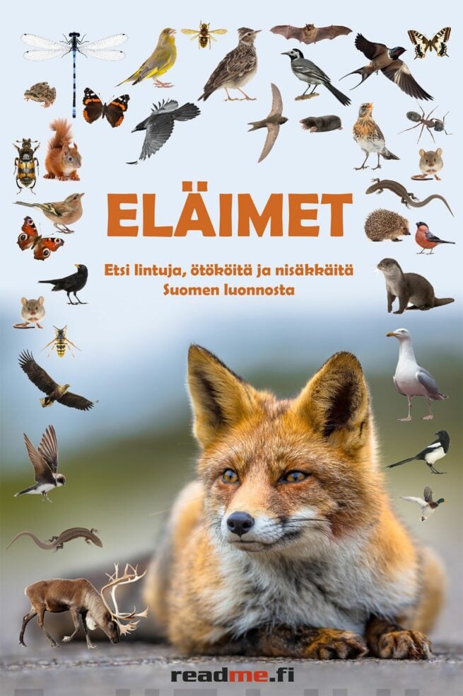 Bongari : etsi eläimiä Suomen luonnosta - ötököitä, lintuja, pikkunisäkkäitä