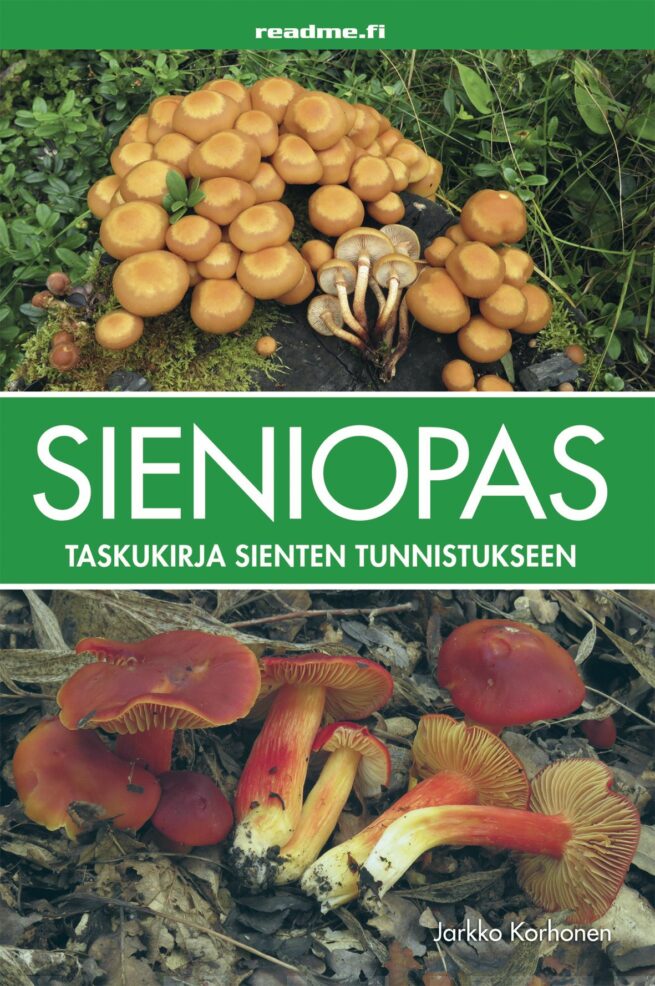 Sieniopas (7. p.) : bestseller