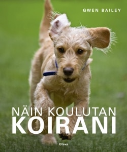 Näin koulutan koirani