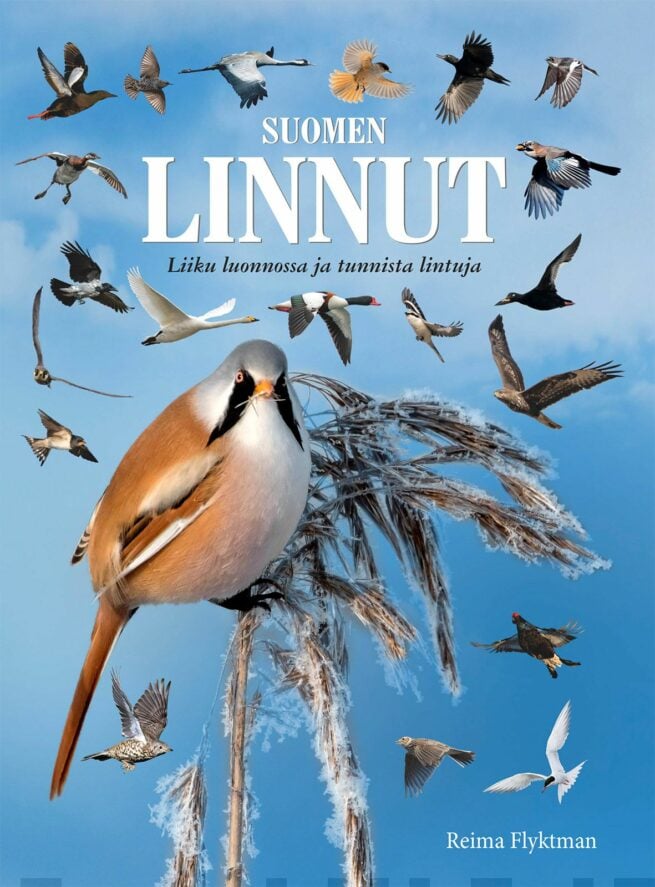 Lintututkija : koko perheen lintukirja