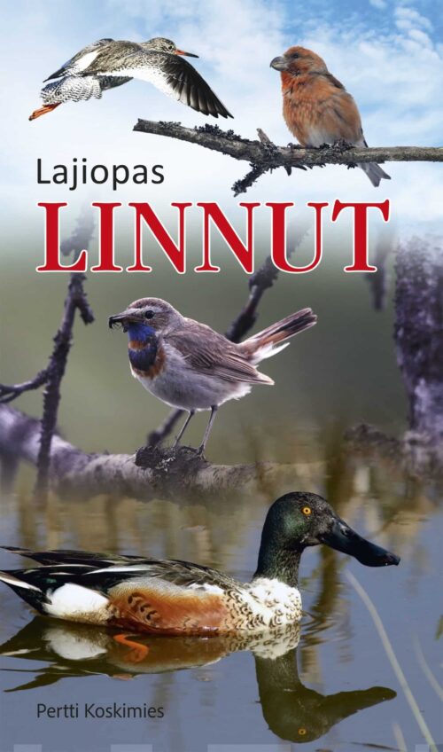 Linnut (6. p.) : lajiopas