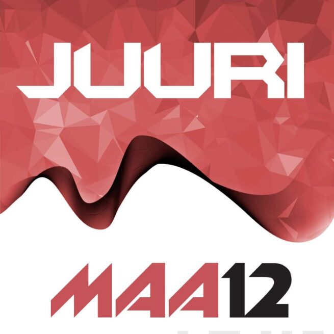 Juuri 12 digikirja 48 kk ONL