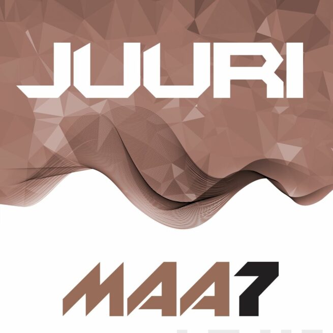 Juuri 7 digikirja 6 kk ONL