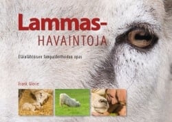 Lammashavaintoja : eläinlähtöisen lampaanhoidon opas