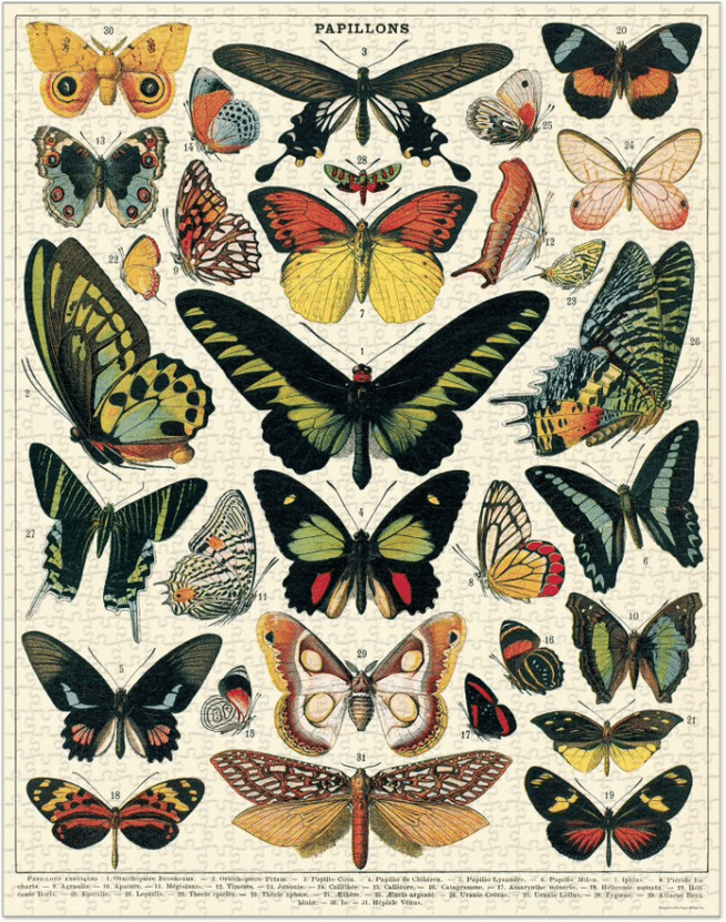 Cavallini palapeli: Butterflies, 1000 palaa