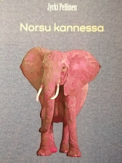 Norsu kannessa