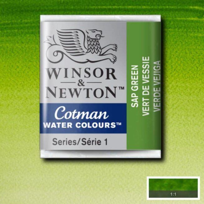 Winsor & Newton Cotman akvarellivärinappi Sap green #599