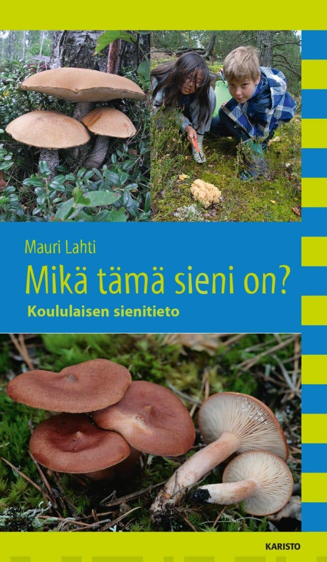 Mikä tämä sieni on?