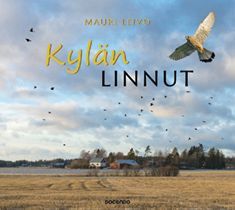 Kylän linnut