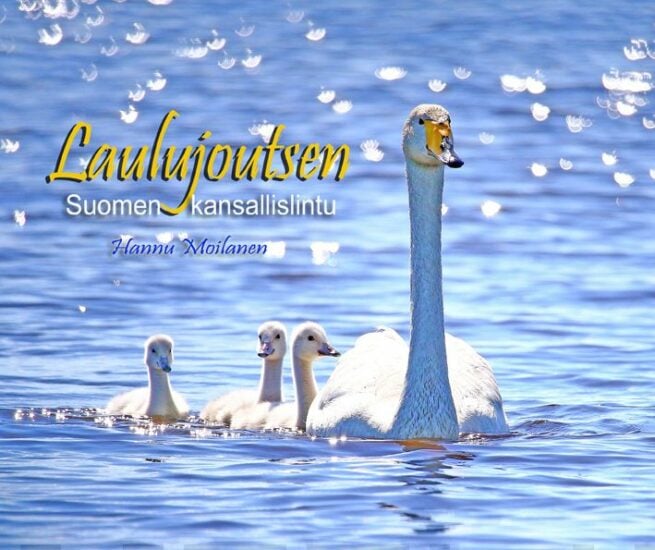 Laulujoutsen-Suomen kansallisl