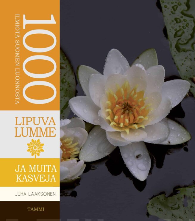 Lipuva lumme ja muita kasveja