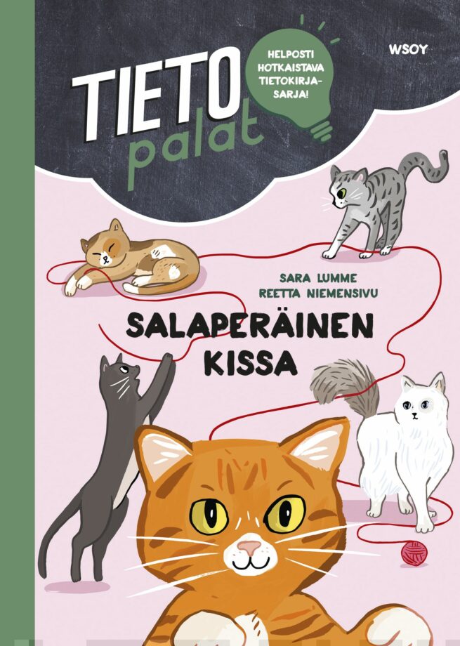 Salaperäinen kissa