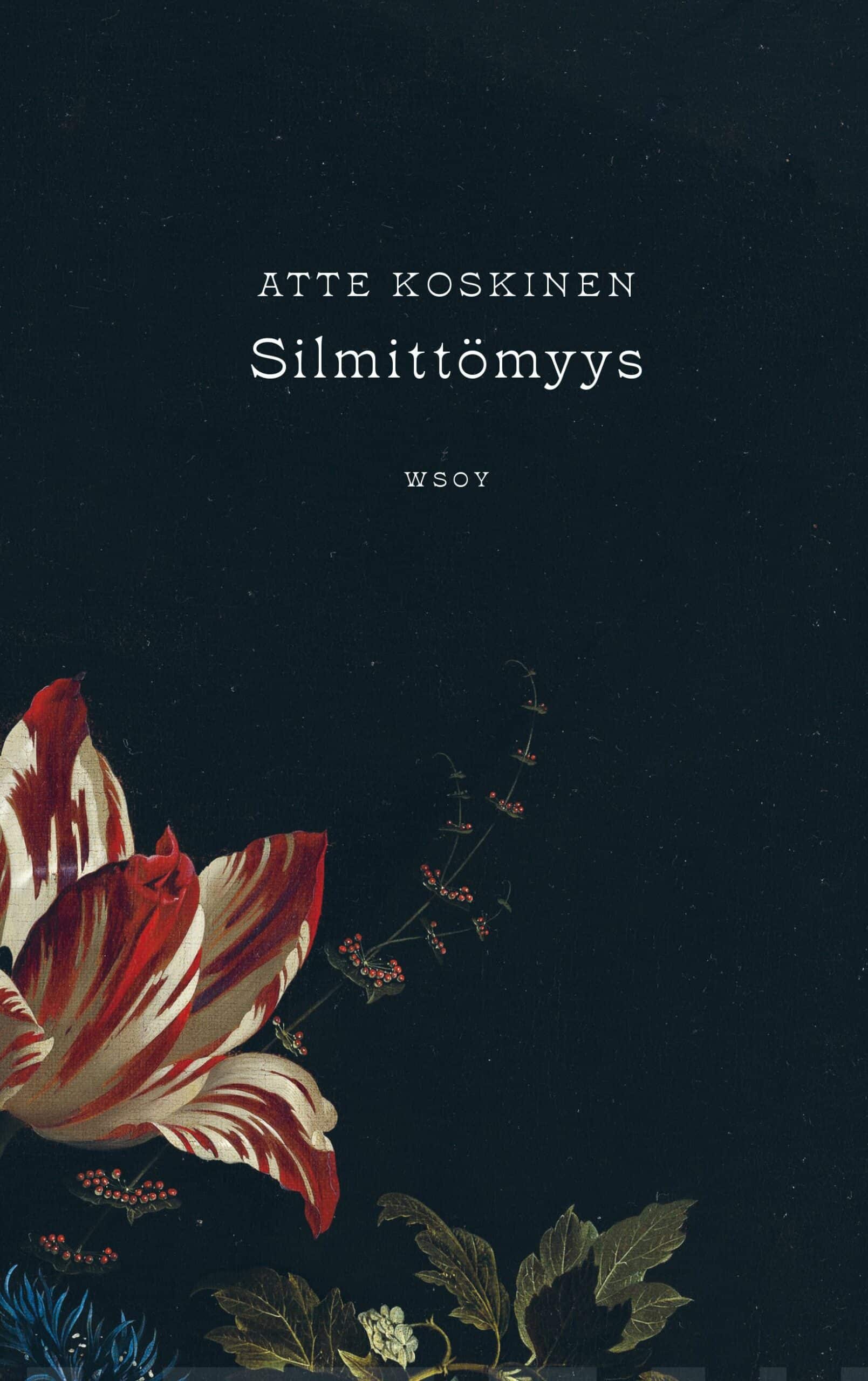 Silmittömyys