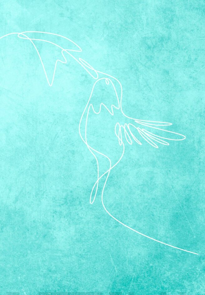 Bujo-muistikirja Kolibri