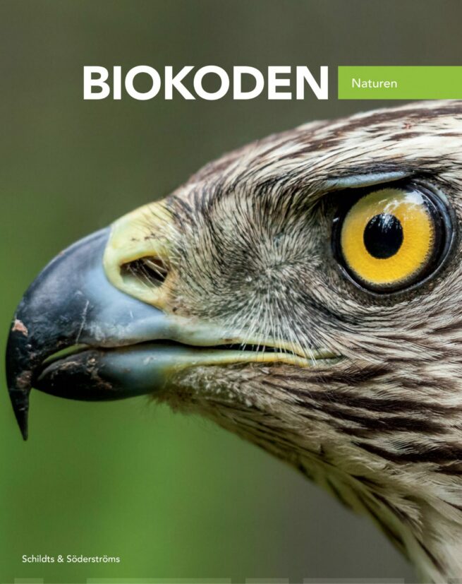 Biokoden 8 : textbok