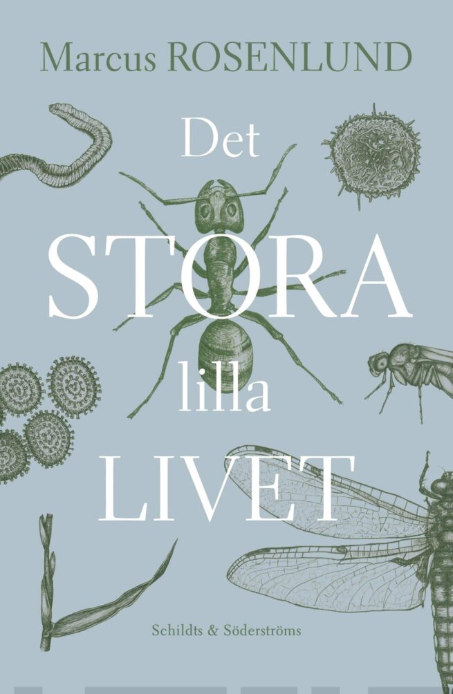 Det stora lilla livet