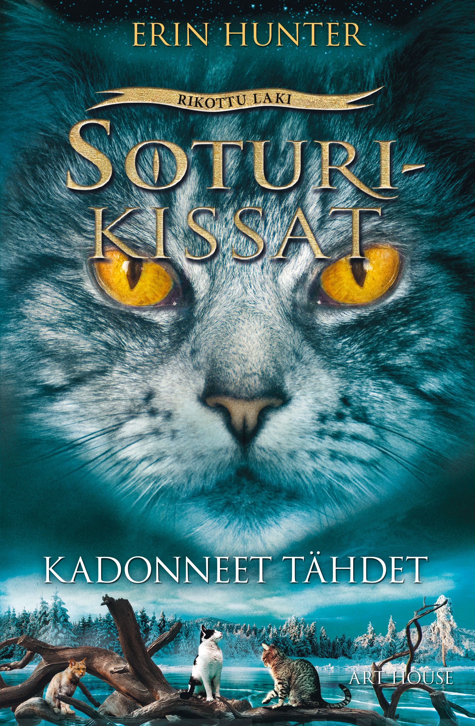Kadonneet tähdet Suomen vanhin kirjakauppa - Vuodesta 1899