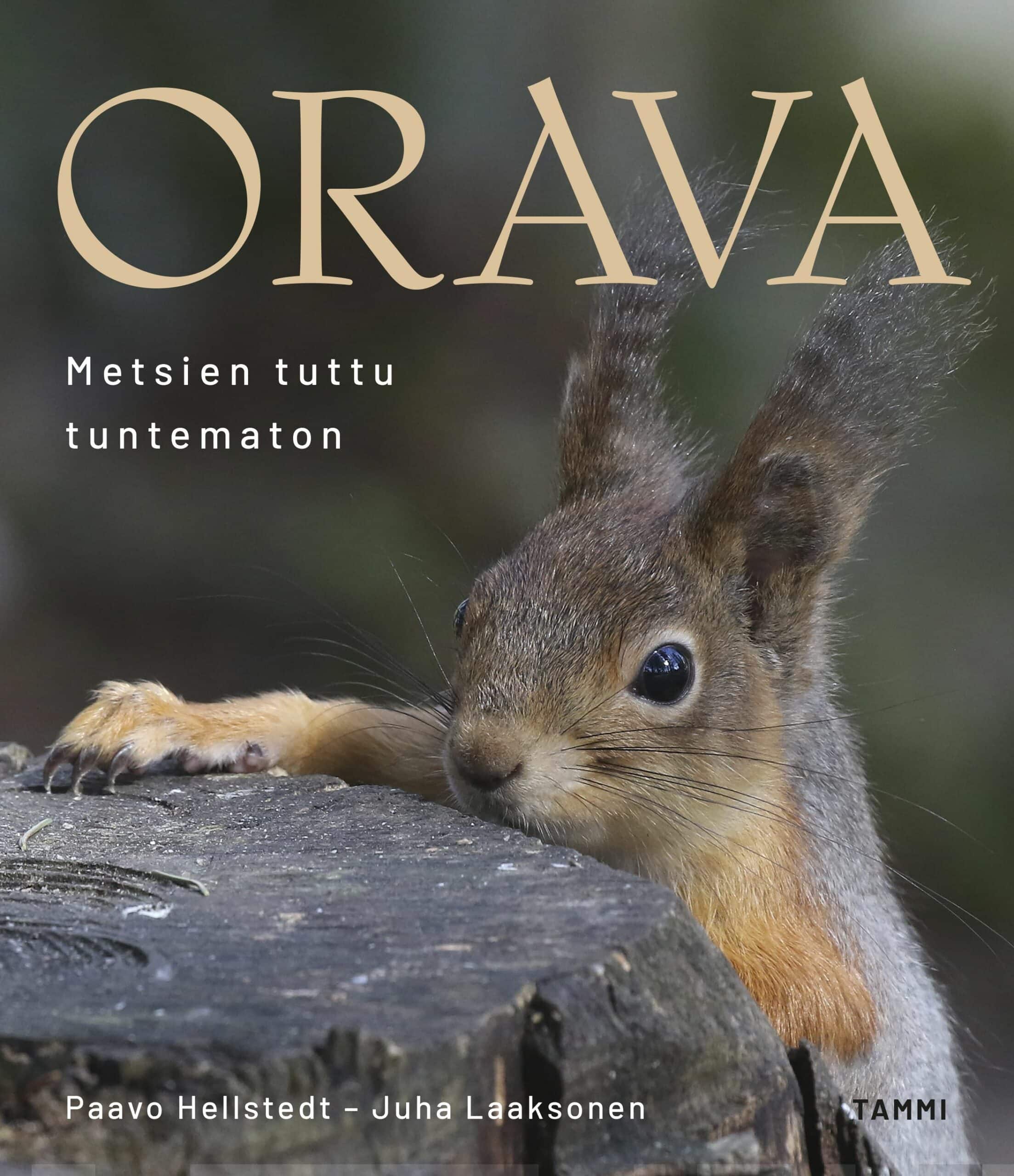 Orava