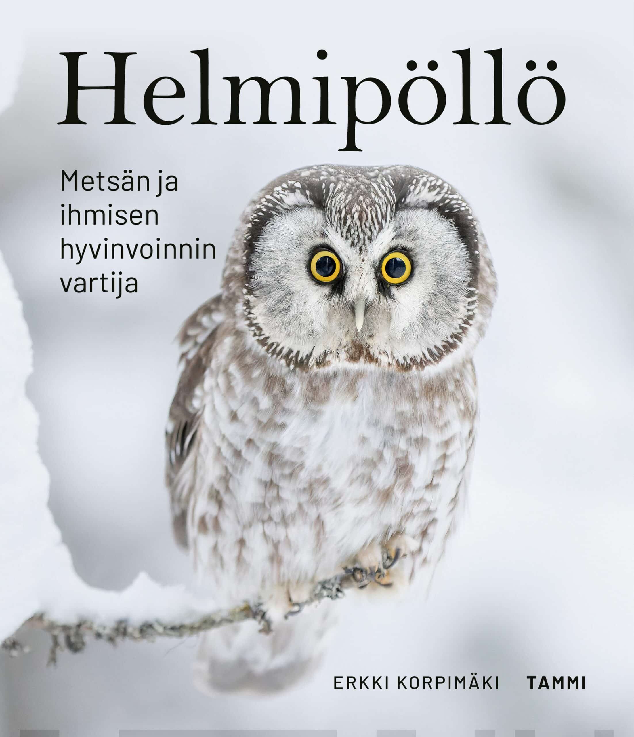 Helmipöllö