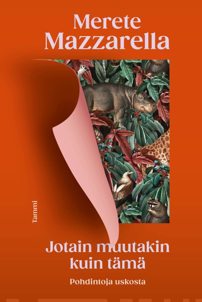 Jotain muutakin kuin tämä