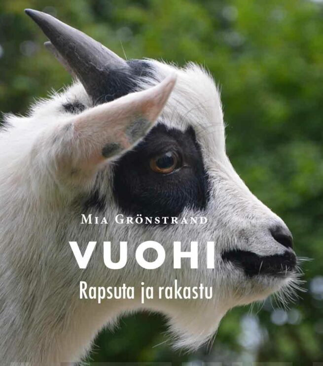 Vuohi rapsuta ja rakastu